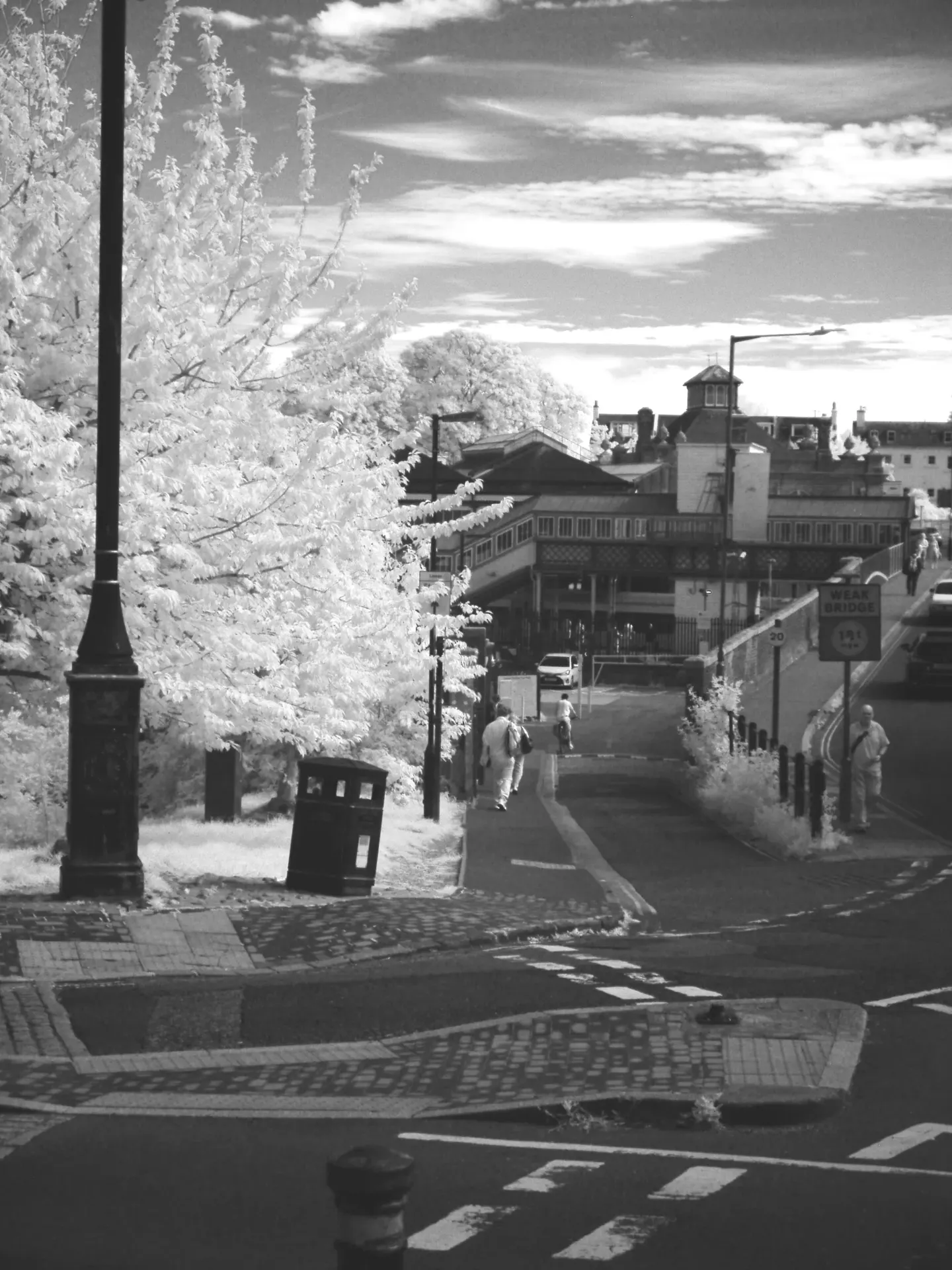 Infrared still life