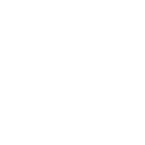 Elan Afzali Logo